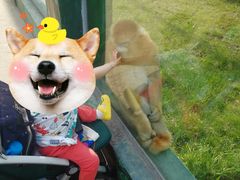 -西安秦岭野生动物园