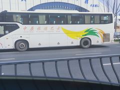 -武汉关码头(轮渡站)