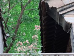 -济南大明湖景区