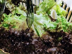 -素满香·食养自助(建邺万达店)