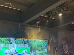 -云晓光头烧烤吧(川沙绿地店)