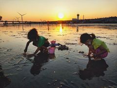 -南汇新城海滩