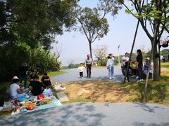 -飞凤山奥体公园