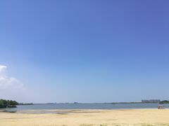 -瑶湖郊野森林公园