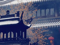 -灵谷景区