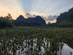 -靖西鹅泉风景区