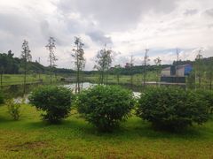 -东莞植物园
