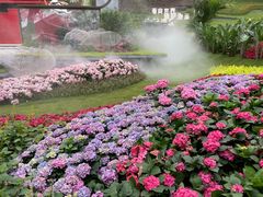 -广州市白云山风景名胜区