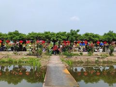 -同銮特种养殖场·龙虾垂钓