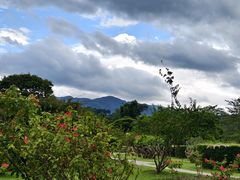 -中国科学院西双版纳热带植物园