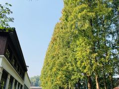 -青花餐厅(雅谷泉山庄酒店)