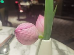 -湖滨28中餐厅·西湖宴·杭州君悦酒店