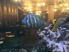 -无招牌海鲜餐厅(怡丰城店)