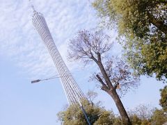 -珠江夜游广州塔·中大码头