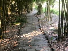 -武汉姚家山旅游景区