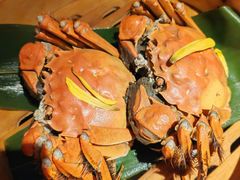 -成隆行·蟹王府(九江路店)