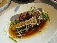-开海·红岛海鲜虾水饺(石老人店)