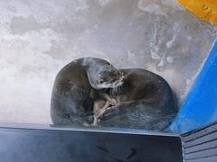 -太平洋海底世界