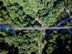 -九龙江国家森林公园