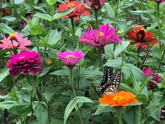 -陶祖圣境风景区