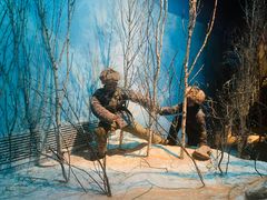 -沈阳“九·一八”历史博物馆