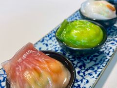 -点都德·毕德寮