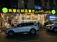 -新疆红柳花餐厅(新洲店)