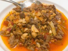 辣皮子炒牛肉-西贝(枫蓝国际购物中心店)