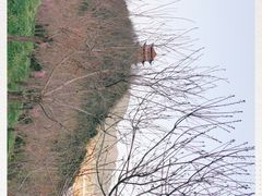 -翠矶山公园