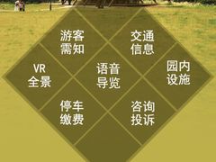 -上海滨江森林公园