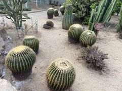 -狼山风景名胜区