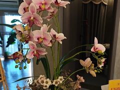 -施奈儿.洗头頭療.按摩SPA.采耳(上梅林店)