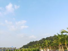 -野狸岛