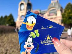 -上海迪士尼度假区