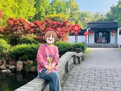 -宜兴龙背山森林公园