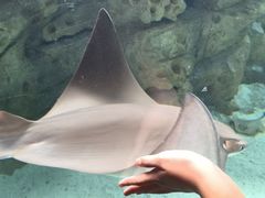 -珠海长隆海洋王国