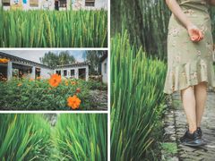 -溱湖国家湿地公园