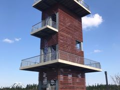 -春花秋色城市公园