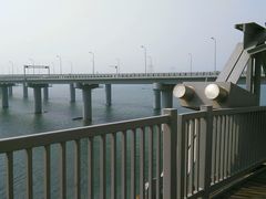 -星海湾跨海大桥