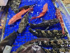 -高佳庄·舟山海鲜(海景旗舰店)