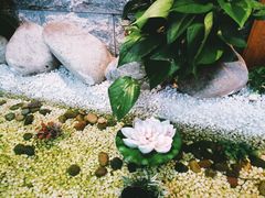 -繁·醉花亭小酒馆(鼓楼店)