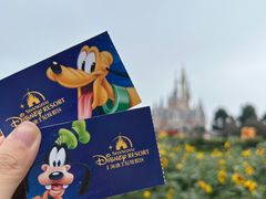 -上海迪士尼度假区