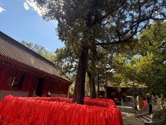 -红螺寺