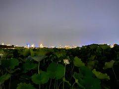 -龙井壹号·茶缘山景宴(龙井村店)