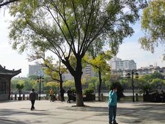 -文瀛公园