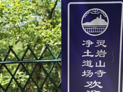 -灵岩山风景区