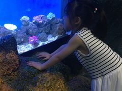 -汉阳天河电影城(王家湾店)