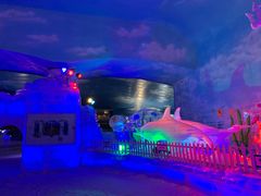 -世界之窗阿尔卑斯冰雪世界
