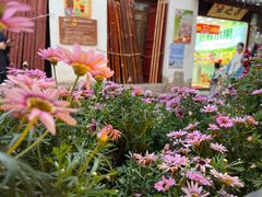 -民食香·腊排骨野生菌美食(木府店)