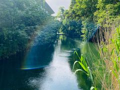 -树山生态村